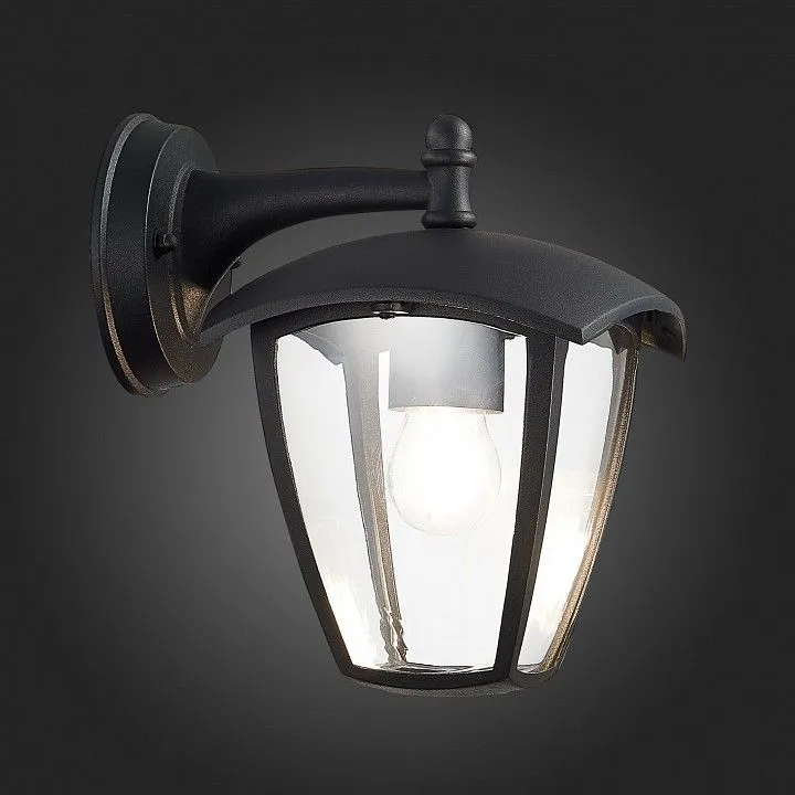 Светильник на штанге ST-Luce Sivino SL081.411.01