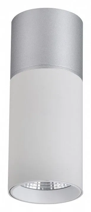 Накладной светильник Favourite Deepak 3071-1C