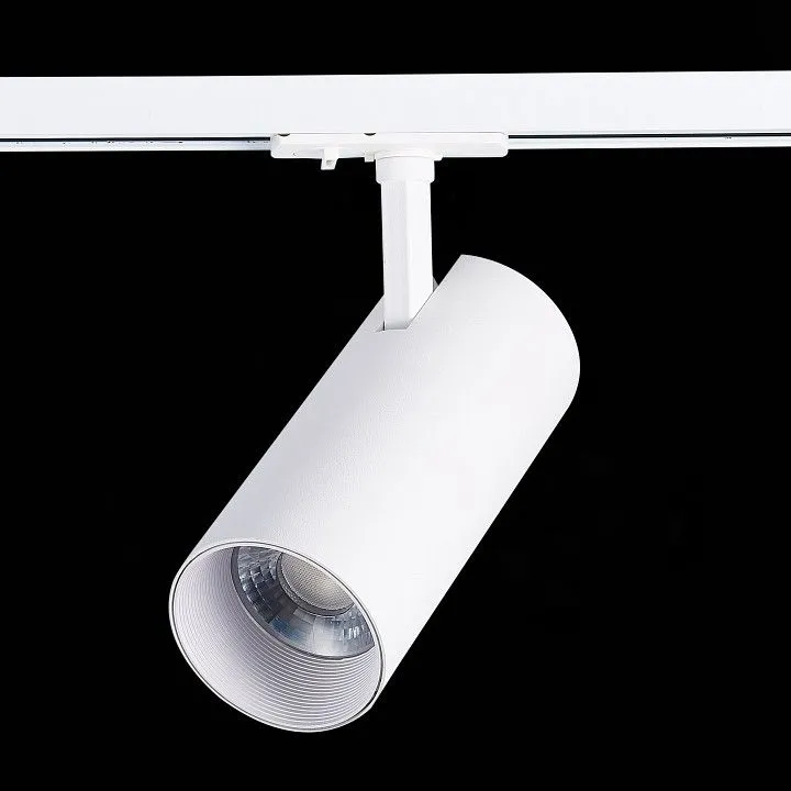 Светильник на штанге ST-Luce Mono ST350.546.30.24