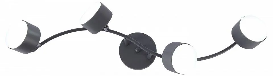 Спот Rivoli Vivien 7077-704