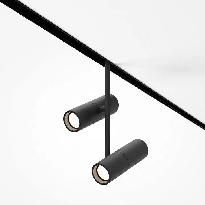 Светильник на штанге Maytoni Technical Элти дуэт TR005-2-2X12W3K-B