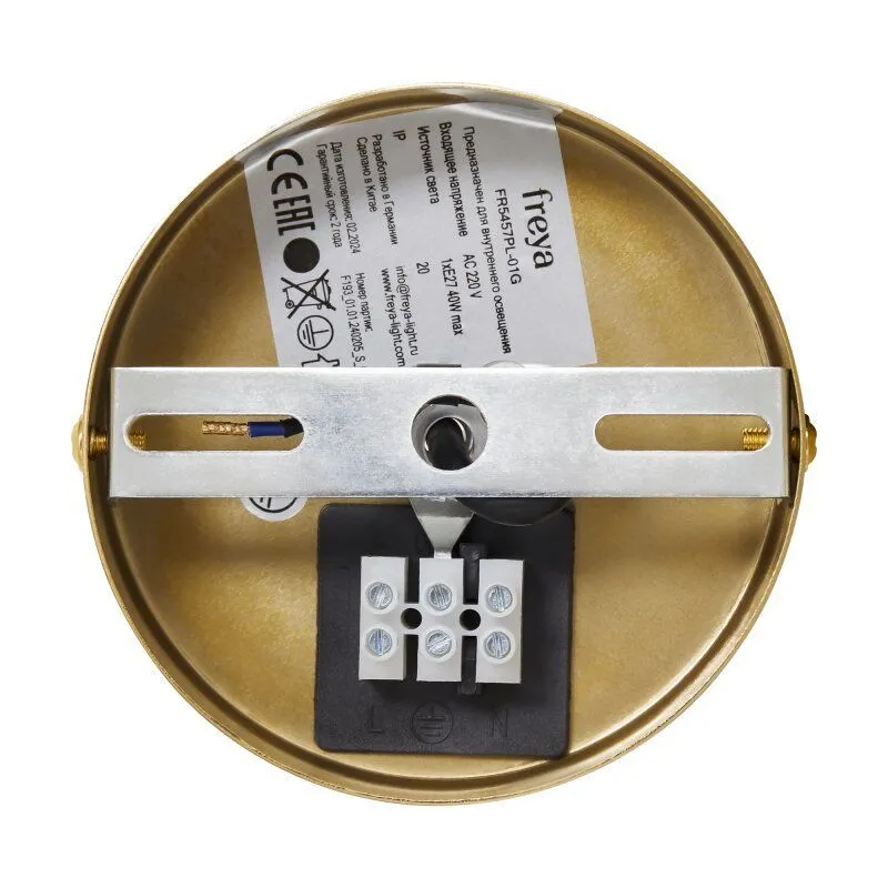 Подвесной светильник Freya Cosmic FR5457PL-01G