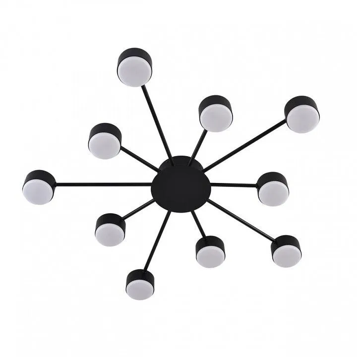 Потолочная люстра Lumion TORINA 8344/10C