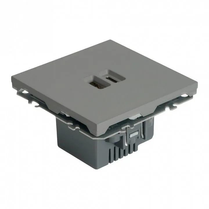 Розетка 2хUSB type A и C без рамки Stekker Эмили 49957