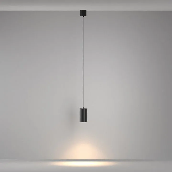 Подвесной светильник Maytoni Technical Вол P100PL-20W3K-B