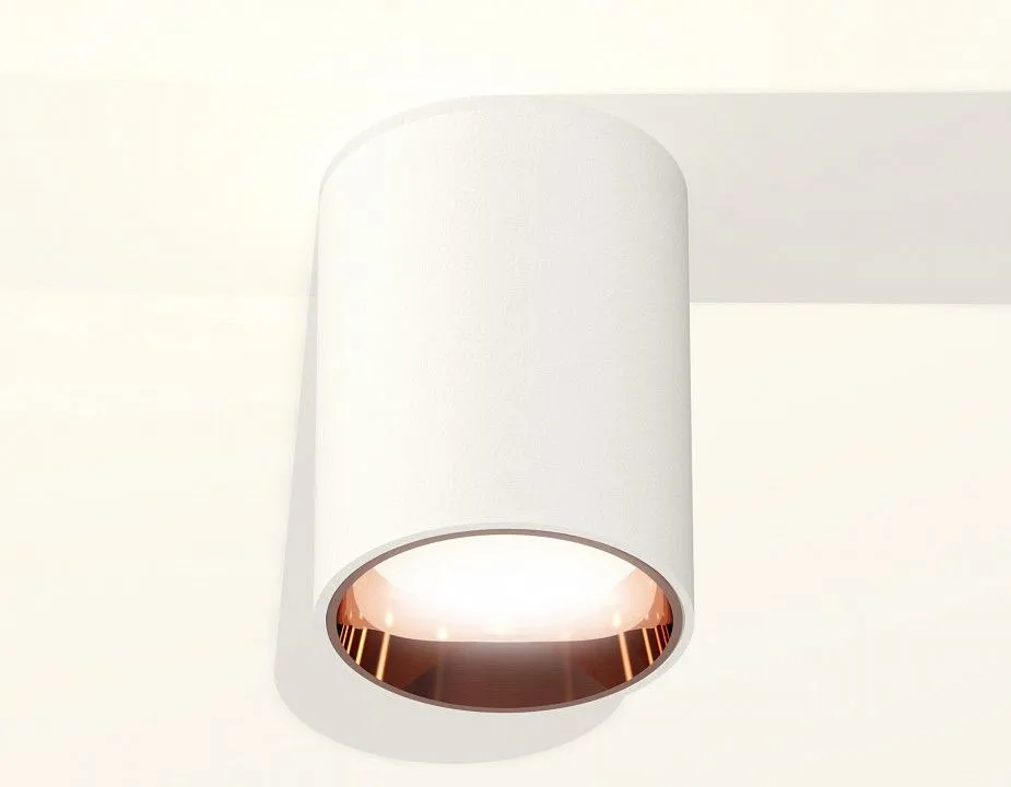 Накладной светильник Ambrella Light XS XS6312024