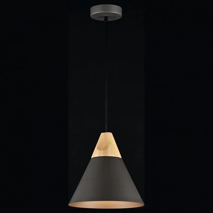 Подвесной светильник Maytoni Биконес P359-PL-220-C