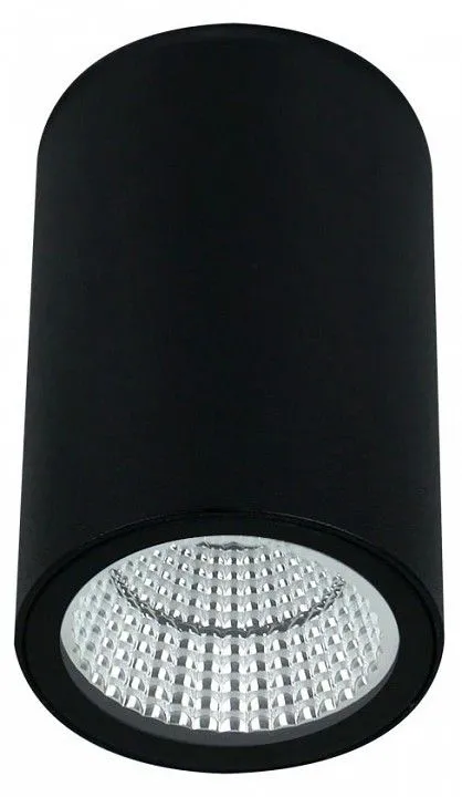 Накладной светильник Arte Lamp TORCULAR A1307PF-1BK