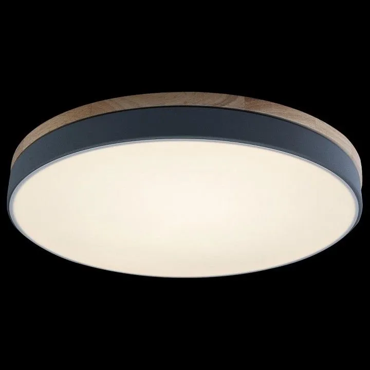 Накладной светильник Loft it Axel 10001/36 Grey