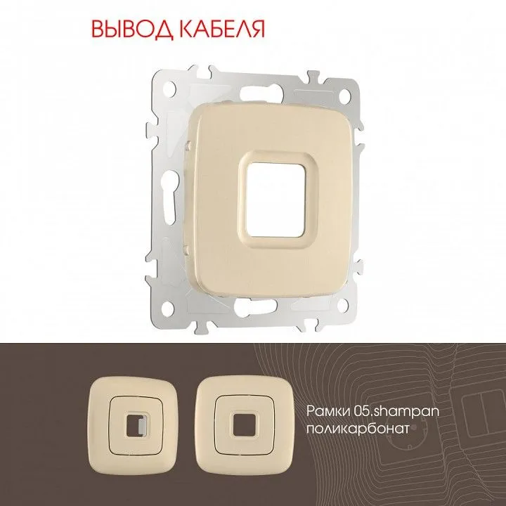 Розетка для вывод кабеля без рамки Arte Milano am-205 205.49-1.shampan