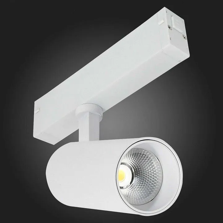 Светильник на штанге ST-Luce SKYLINE 220 ST660.596.10H