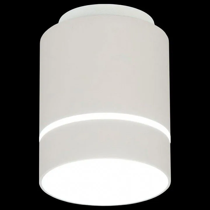 Накладной светильник Citilux Борн CL745010N