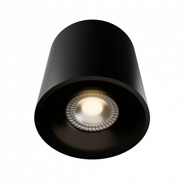Накладной светильник LIGHTERA Shamrock LE201CL-1BA