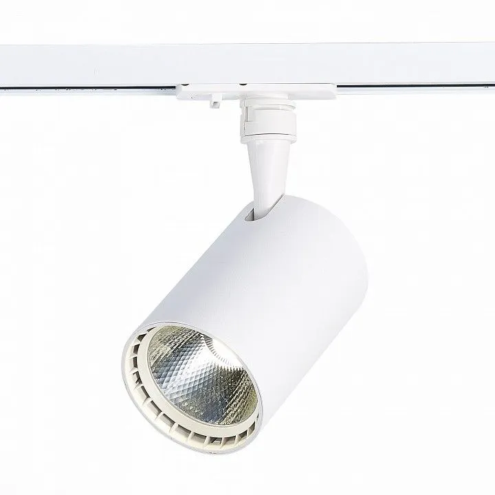 Светильник на штанге ST-Luce Cami ST351.536.15.24