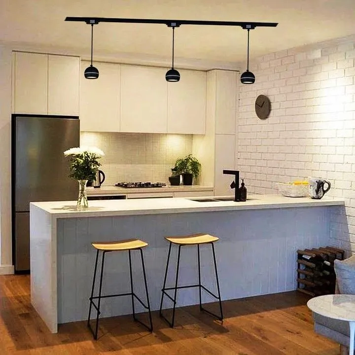 Подвесной светильник Reluce Technical  53015-0.9-001CT GX53 BK
