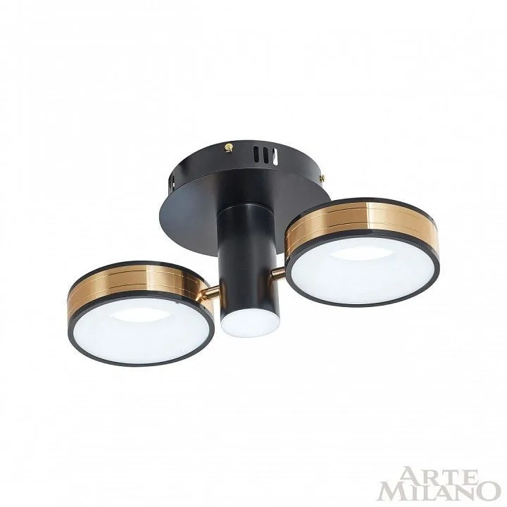 Светильник на штанге Arte Milano Ferrara-71040 271040/2R BK/GD