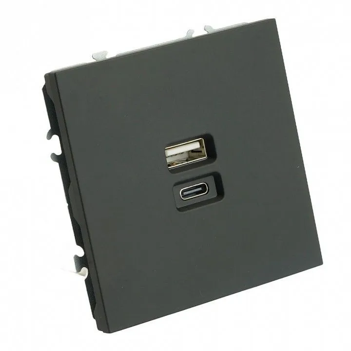 Розетка 2хUSB type A и C без рамки Stekker Эмили 49853