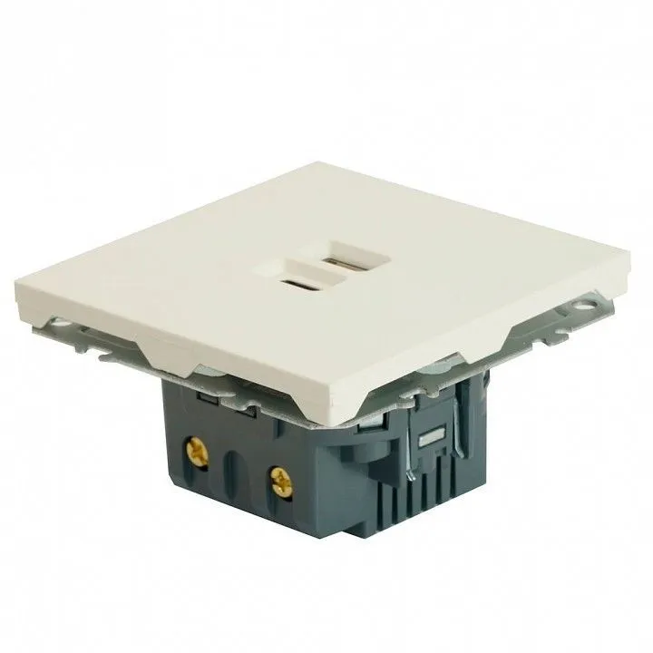 Розетка 2хUSB type A и C без рамки Stekker Эмили 49879