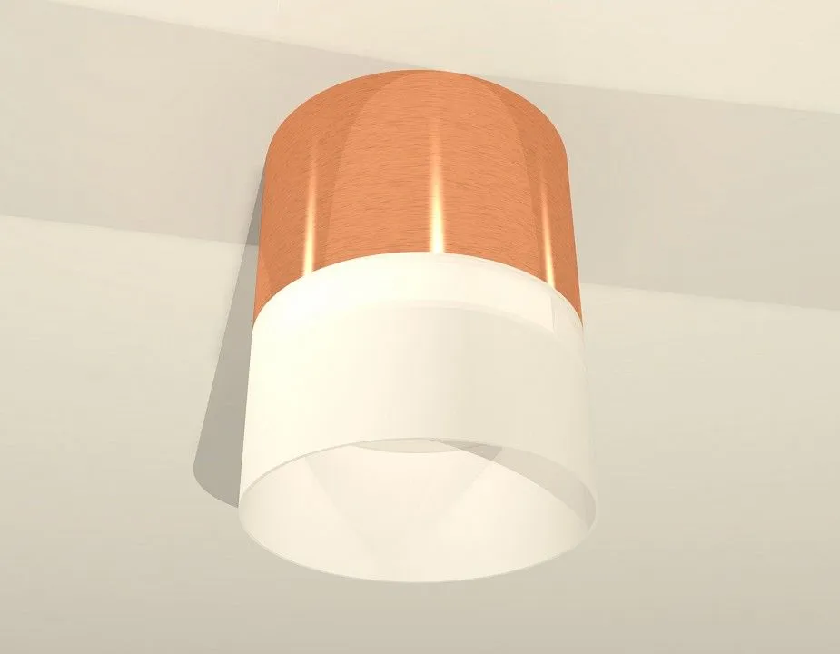 Накладной светильник Ambrella Light XS XS8122011