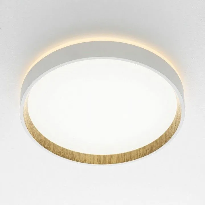 Накладной светильник Citilux Etalon CL750240