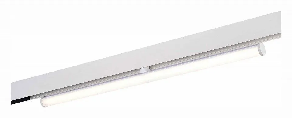 Светильник на штанге ST-Luce ST803 ST803.546.10