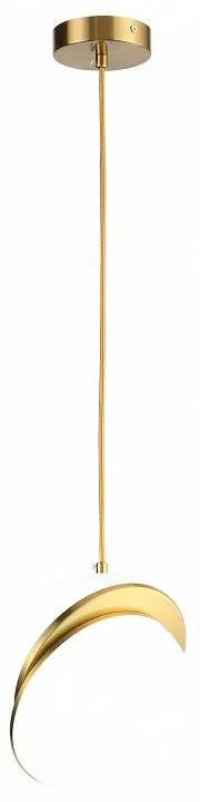 Подвесной светильник ST-Luce Laico SL1164.303.01