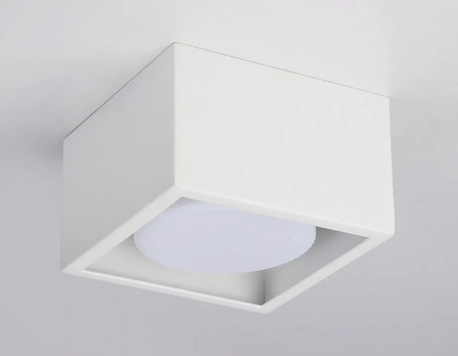 Накладной светильник Ambrella Light TN TN70825
