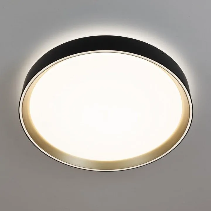 Накладной светильник Citilux BOSS CL751351G