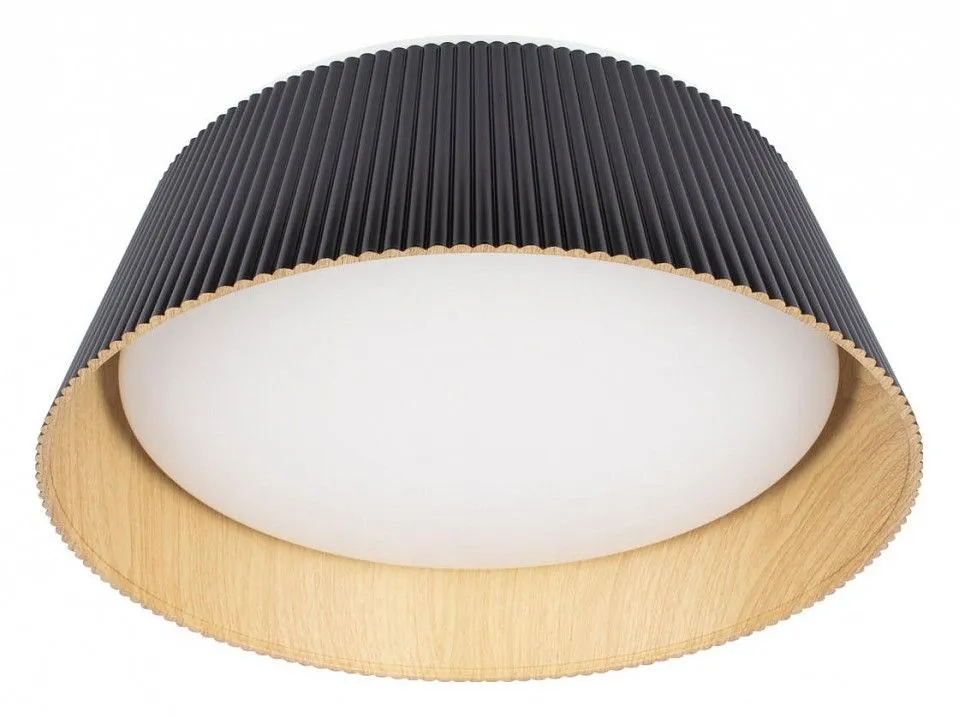 Накладной светильник Loft it Evans 10224 Black