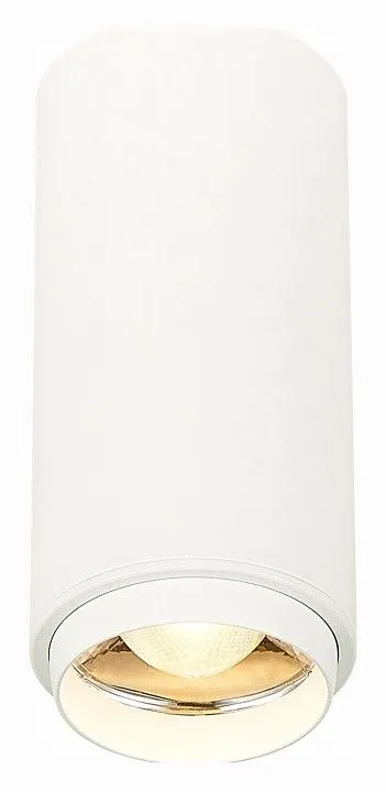 Накладной светильник ST-Luce Zoom ST600.532.10