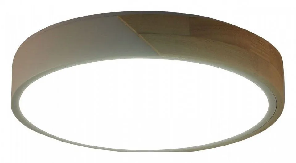 Накладной светильник Zortes Alberro ZRS.01239.90