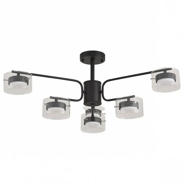 Люстра на штанге Lumion NATALINA 8349/6C