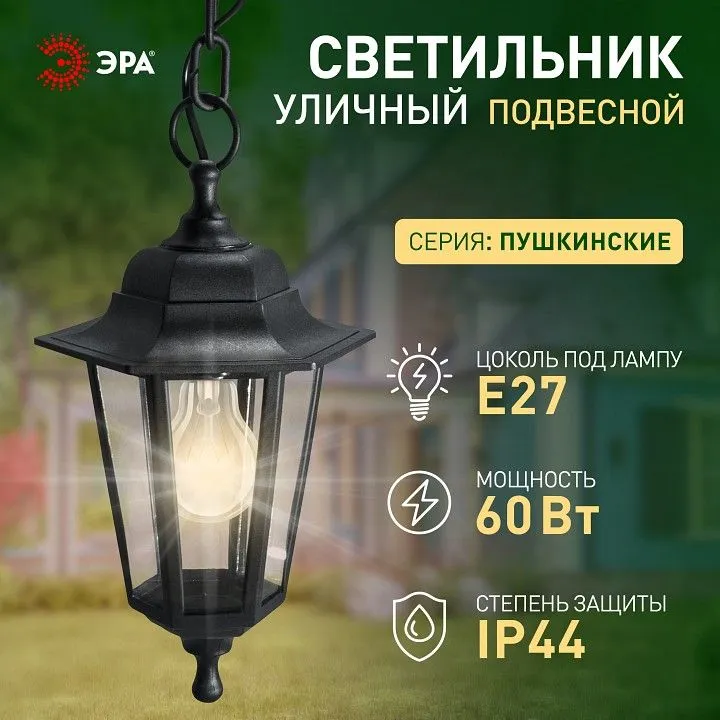 Подвесной светильник Эра  НСУ 06-60-001 черный