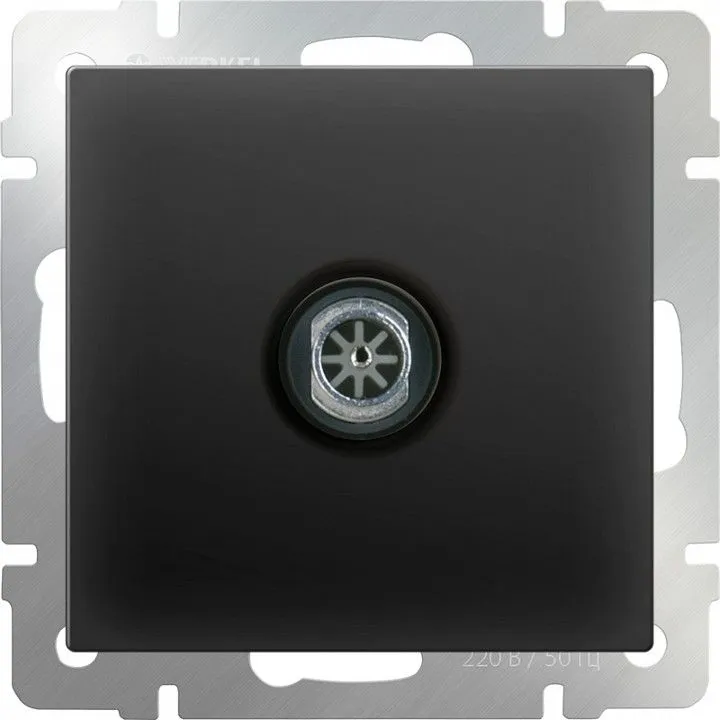ТВ-розетка оконечная без рамки Werkel черный матовый W1183008
