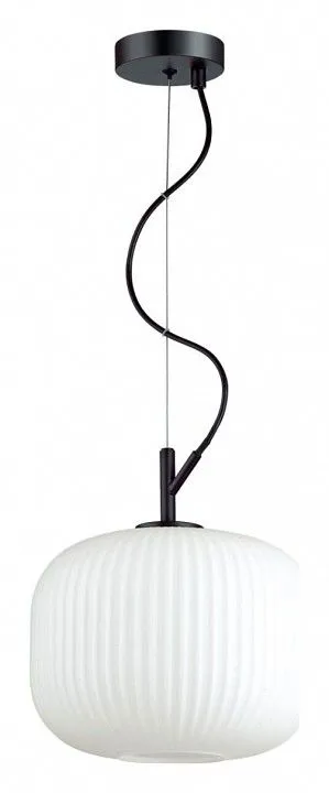 Подвесной светильник Odeon Light Roofi 4753/1