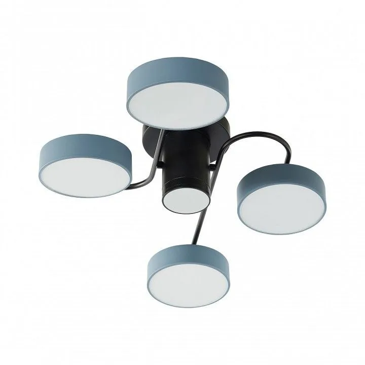Потолочная люстра Arte Milano Ferrara 253039/4+1 Bk/Gr