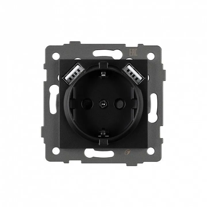 Розетка с заземлением и 2хUSB type A, без рамки Arlight SCT 049819