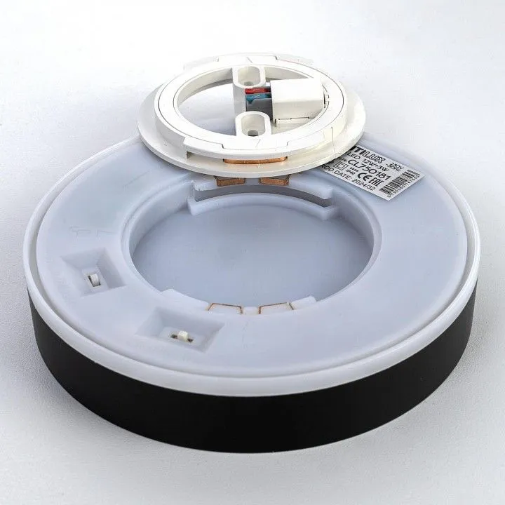 Накладной светильник Citilux Etalon CL750181