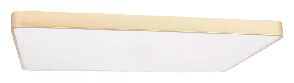 Накладной светильник Loft it Flims 10228/E