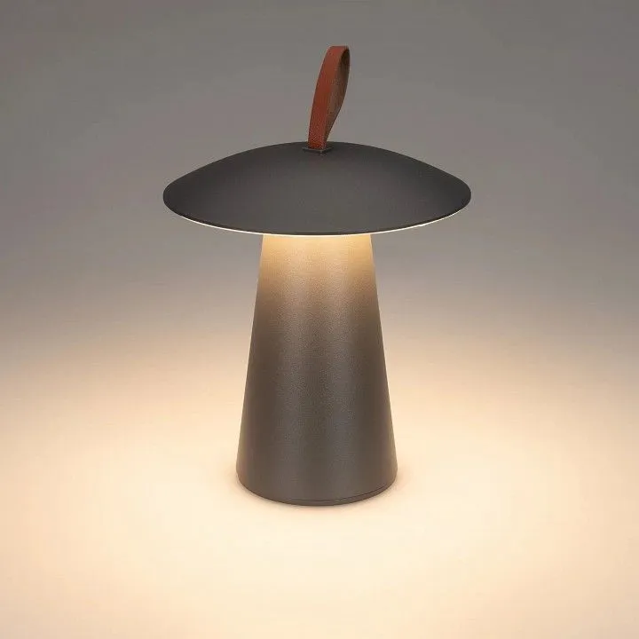 Настольная лампа декоративная Arlight SP-PATIO 043587