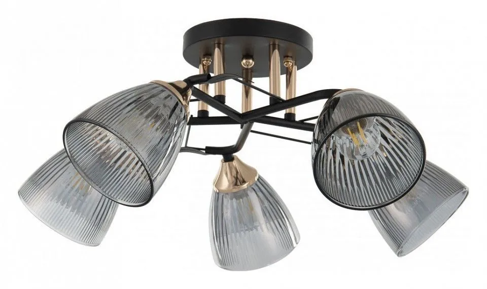 Потолочная люстра Arte Milano AMALFI-322610 322610/5 BK+FG