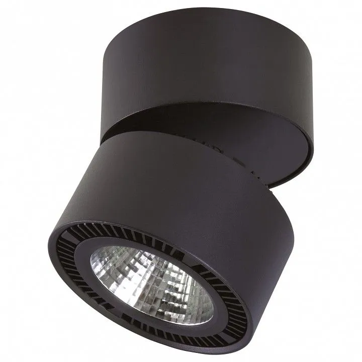 Спот Lightstar Forte Muro 213817