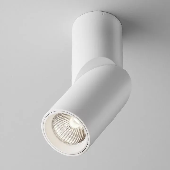 Светильник на штанге Maytoni Technical Дафна C027CL-L10W4K