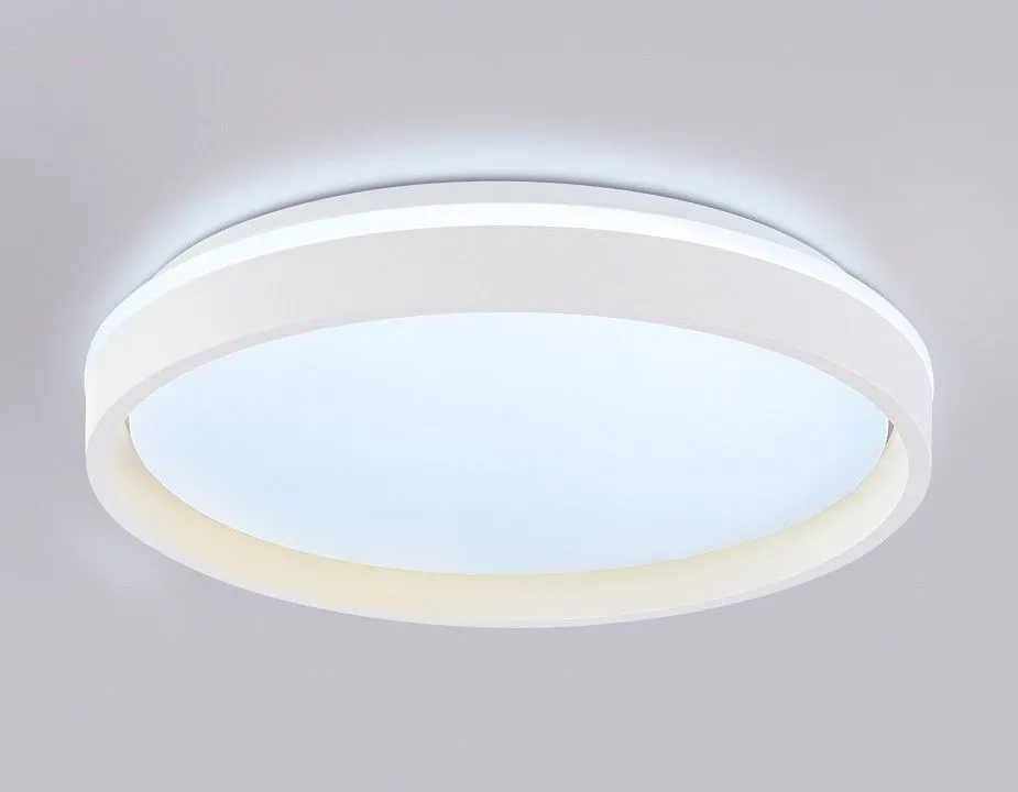 Накладной светильник Ambrella Light FZ FZ607