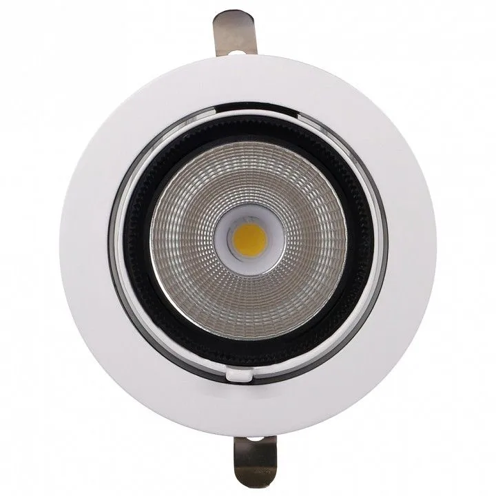 Встраиваемый светильник Jazzway  PLED DL4 40W 4000K 24° White  IP40