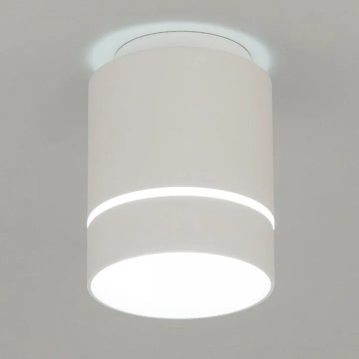 Накладной светильник Citilux Борн CL745010N