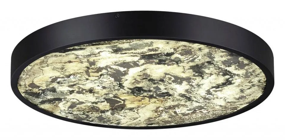Накладной светильник Odeon Light Bergi 5064/40L