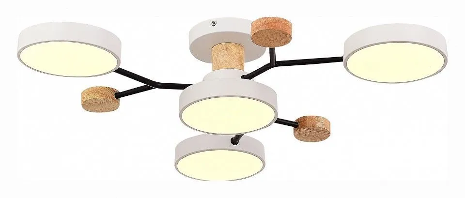 Потолочная люстра EVOLUCE Faema SLE6006-502-04