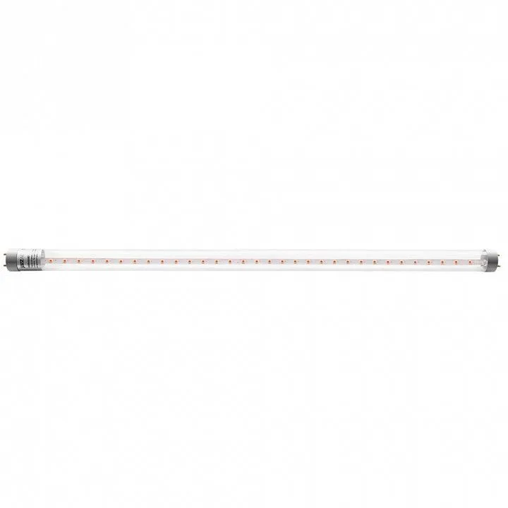 Лампа светодиодная Jazzway  G13 12Вт K PLED T8   900 Agro   12w CL