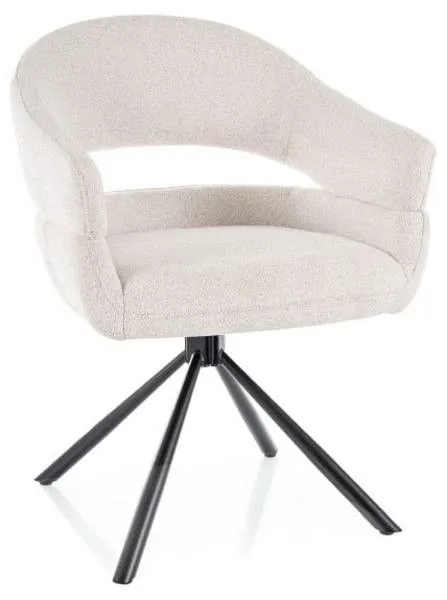 Стул Borgo Raven 22